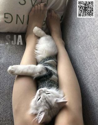 打扑克又叫又疼视频