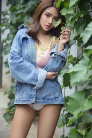 稗记舞咏