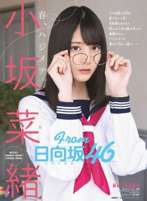 黑三角电视剧
